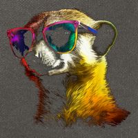 Meerkat Artwork Animal Art Sunglasses Meerkat Cotton Canvas Backpack
