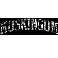 Muskingum Athletic Arch College University Alumni Bumper Sticker