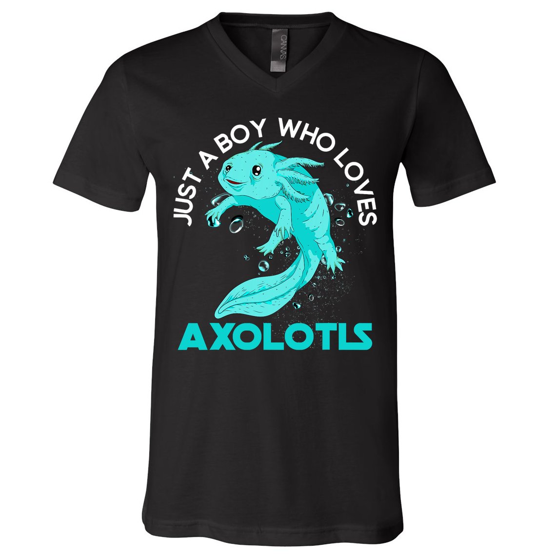Mexican Amphibian Animal Just A Boy Who Loves Axolotls  V-Neck T-Shirt