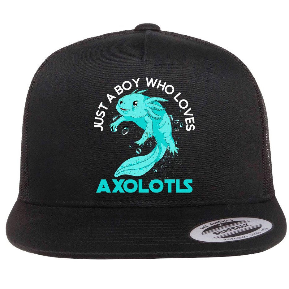 Mexican Amphibian Animal Just A Boy Who Loves Axolotls  Flat Bill Trucker Hat