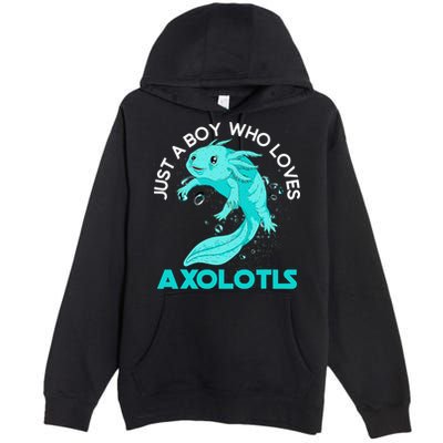 Mexican Amphibian Animal Just A Boy Who Loves Axolotls  Premium Pullover Hoodie
