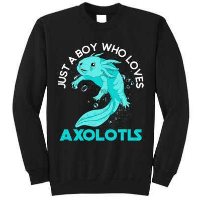 Mexican Amphibian Animal Just A Boy Who Loves Axolotls  Tall Sweatshirt
