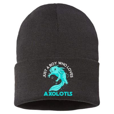 Mexican Amphibian Animal Just A Boy Who Loves Axolotls  Sustainable Knit Beanie