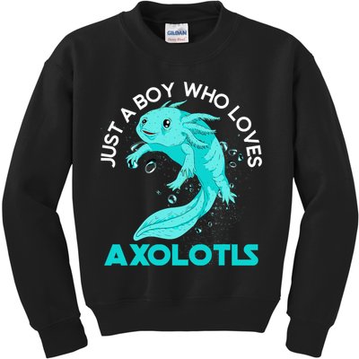 Mexican Amphibian Animal Just A Boy Who Loves Axolotls  Kids Sweatshirt