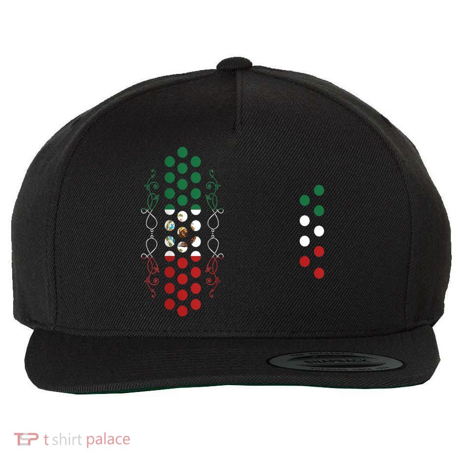 Mexican Air Accordion Player Musician Men Women Wool Snapback Cap