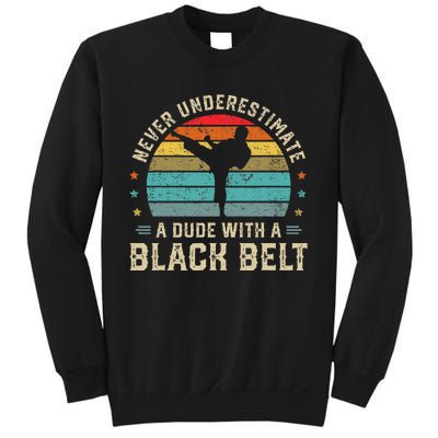 Martial Arts Black Belt Karate Jiu Jitsu Taekwondo Gifts Sweatshirt