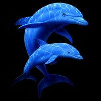 Mama And Baby Dolphin Bucket Hat