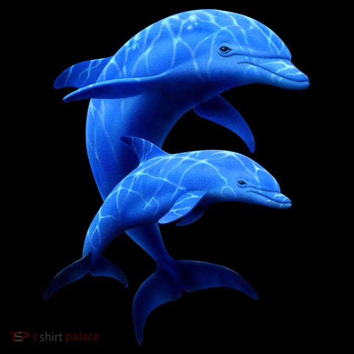 Mama And Baby Dolphin Flatbill Hat