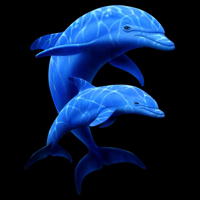 Mama And Baby Dolphin 16 in Basic Backpack