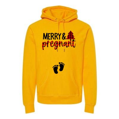 Merry And Bright Pregnant Christmas Pregnancy Announcet Funny Gift Premium Hoodie