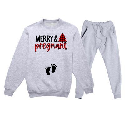 Merry And Bright Pregnant Christmas Pregnancy Announcet Funny Gift Premium Crewneck Sweatsuit Set