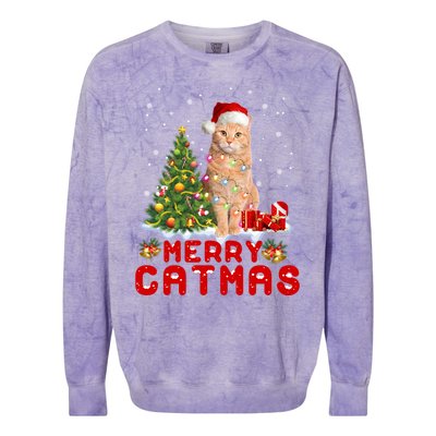 Meowy And Bright Merry Catmas Matching Pajamas Happy Family Great Gift Colorblast Crewneck Sweatshirt