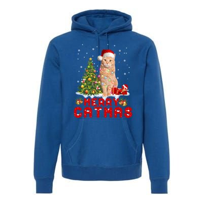 Meowy And Bright Merry Catmas Matching Pajamas Happy Family Great Gift Premium Hoodie