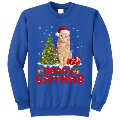 Meowy And Bright Merry Catmas Matching Pajamas Happy Family Great Gift Tall Sweatshirt