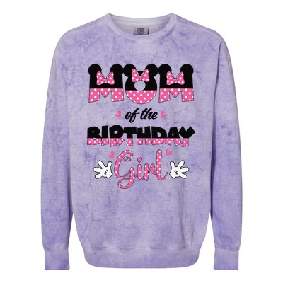 Mom And Dad Birthday Girl Mouse Family Matching Colorblast Crewneck Sweatshirt