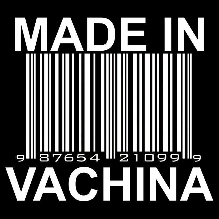 Made In Vachina  Women's V-Neck T-Shirt