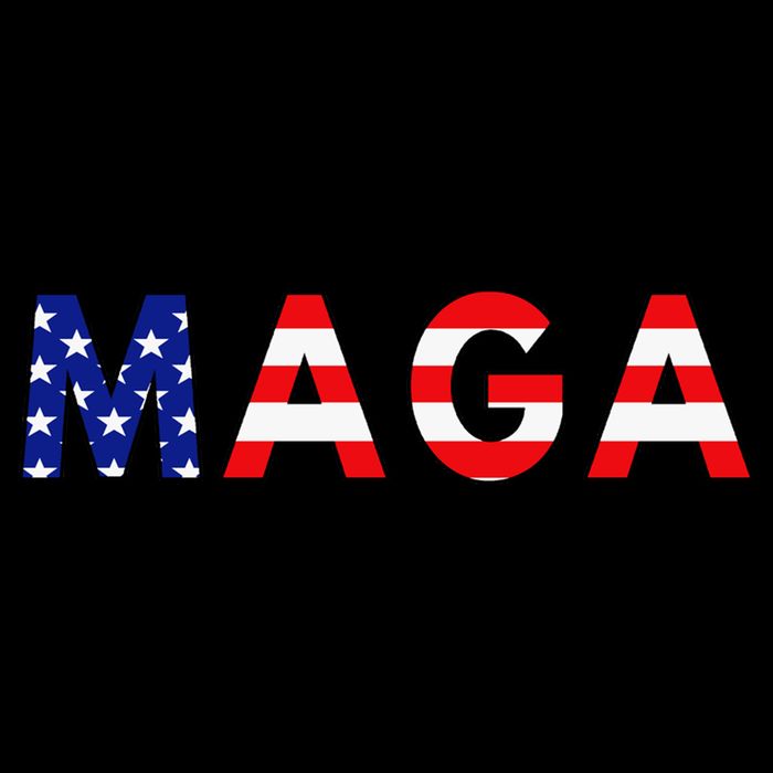 Maga American Flag Crop Top