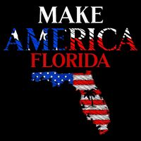 Make America Florida Funny Patriotic Freedom USA 16 in Basic Backpack