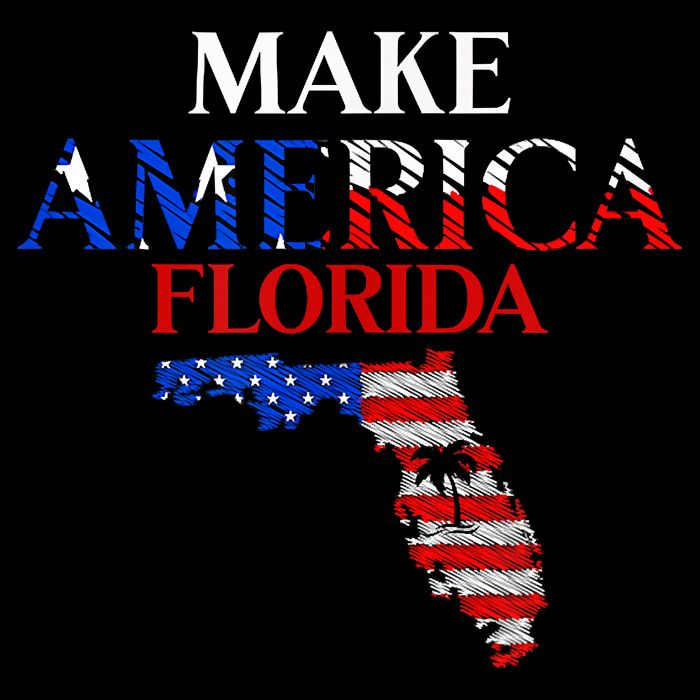 Make America Florida Funny Patriotic Freedom USA 16 in Basic Backpack