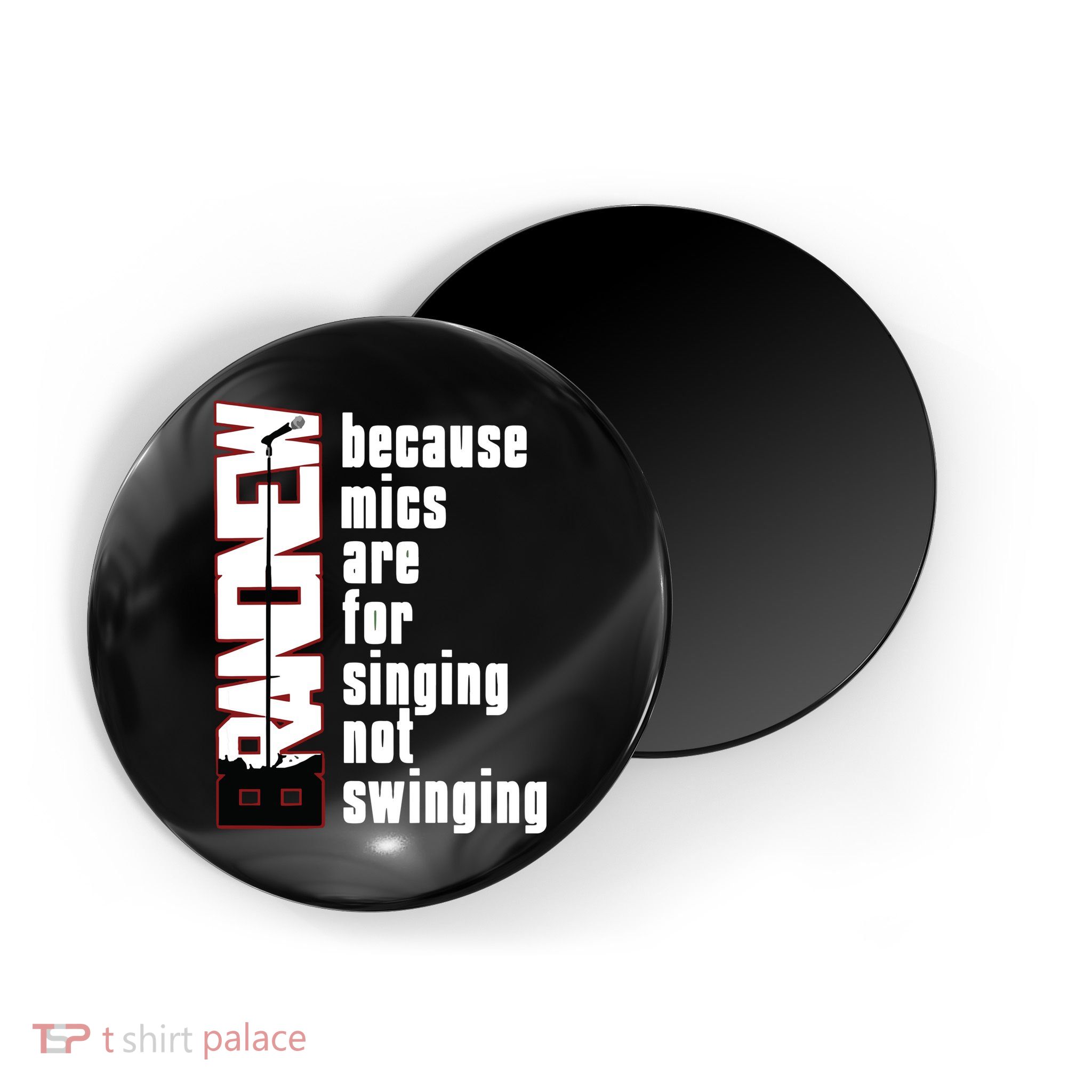 Mics Are For Singing Not Swinging Magnet