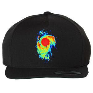 Meteorologist Art For Women Weather Radar Meteorology Wool Snapback Cap