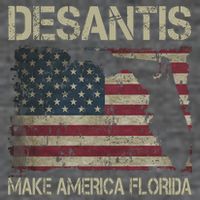 Make America Florida DeSantis 2024 Election Vintage Us Flag Womens T-Shirt