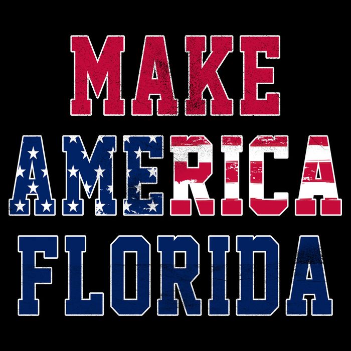 Make America Florida, Desantis 2024 Election Funny Sarcastic Visor