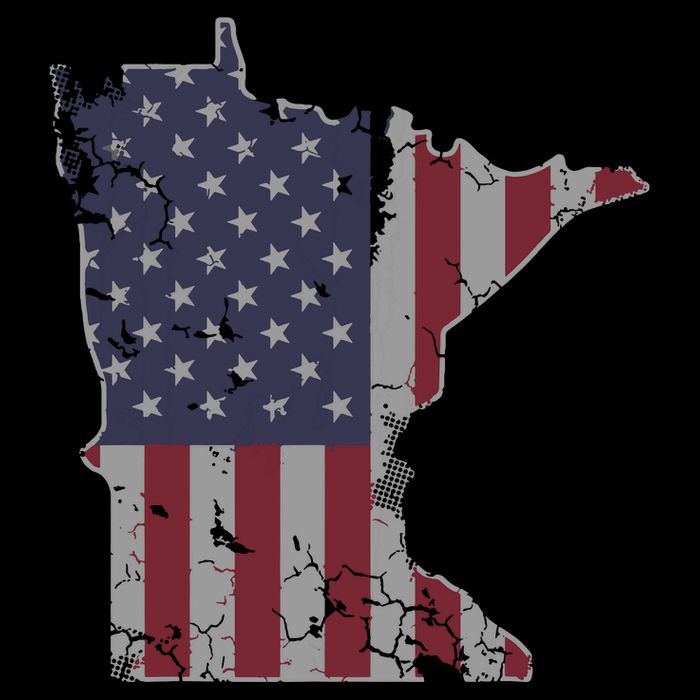 Minnesota American Flag 4th Of July Toddler T-Shirt