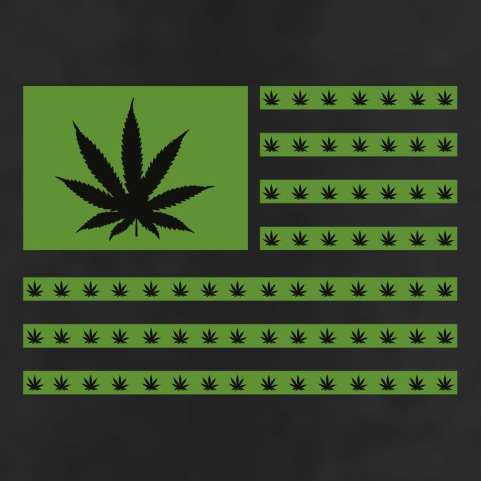 Marijuana American Flag 7 Panel Mesh Trucker Snapback Hat