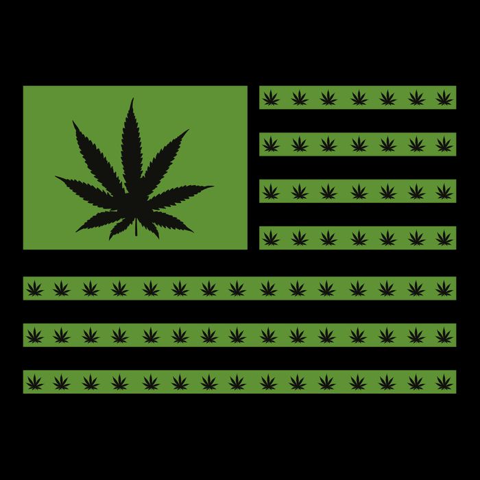Marijuana American Flag City Backpack