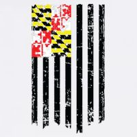 Maryland American Flag Adult Drive Performance Visor