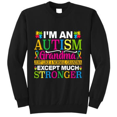 Motivational Autism Grandma Autism Awareness Slogan Autism Advocacy Sweatshirt