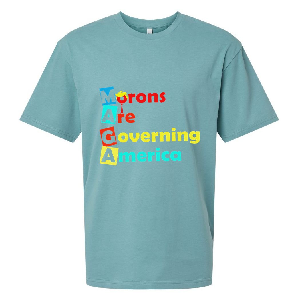 Morons Are Governing America Sueded Cloud Jersey T-Shirt