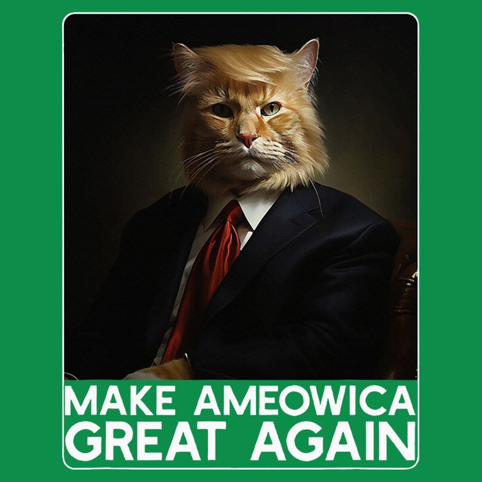 Make Ameowica Great Again Funny Donald Trump Cat Meme Womens T-Shirt