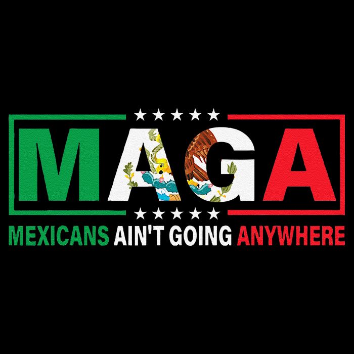 Mexicans AinT Going Nowhere Poster