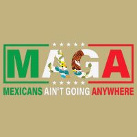 Mexicans AinT Going Nowhere Hoodie