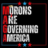 Morons Are Governing America Anti Trump Political Bag