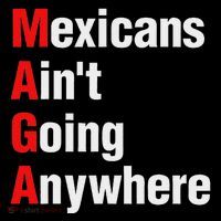 Mexicans AinT Going Anywhere Mexico Immigrates Funny Performance Shirt
