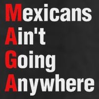Mexicans AinT Going Anywhere Mexico Immigrates Funny Adult Drive Performance Visor
