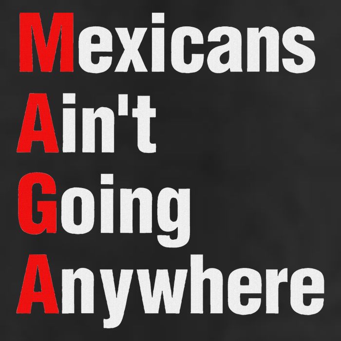 Mexicans AinT Going Anywhere Mexico Immigrates Funny Adult Drive Performance Visor