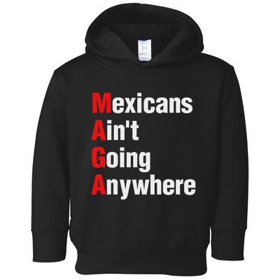 Mexicans AinT Going Anywhere Mexico Immigrates Funny Toddler Hoodie