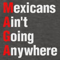Mexicans AinT Going Anywhere Mexico Immigrates Funny Vector Backpack
