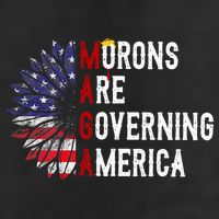 Morons Are Governing America 11oz C Handle Ceramic Mug