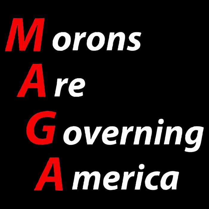 Morons Are Governing America Anti Trump Political Drawstring Bag