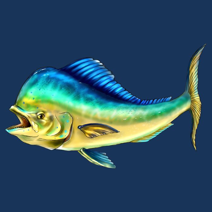 Mahi Mahi Side View Sweatshirt