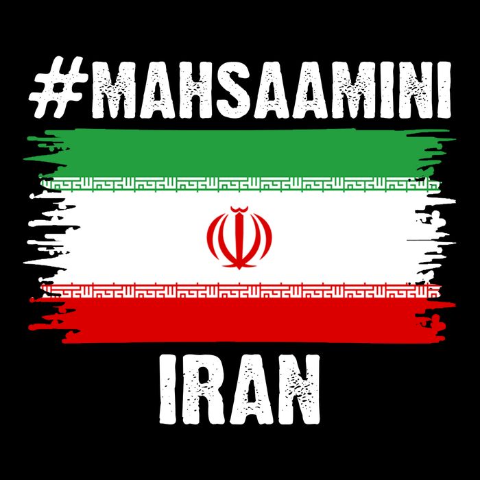 Mahsa Amini Iran Flag Support Womens Rights 16 in Basic Backpack