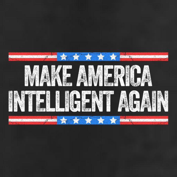 Make America Intelligent Again Funny Us Patriotic July 4th Gift Hat