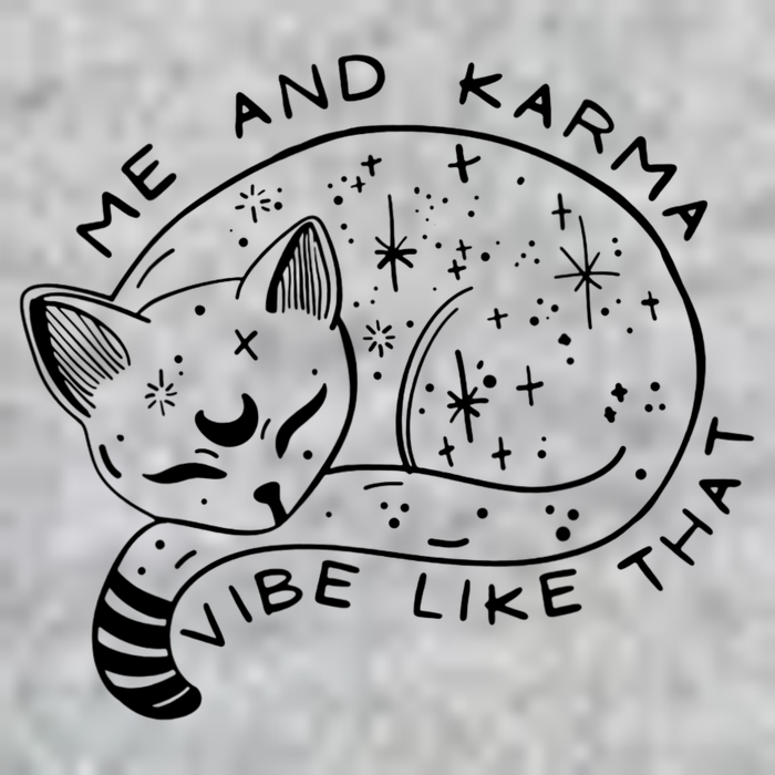 Me An Karma Vibe Like That Funny Lazy Cat Tall T-Shirt