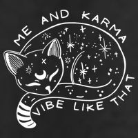 Me An Karma Vibe Like That Funny Lazy Cat Hat