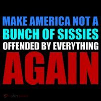 Make America Not A Bunch Of Sissies 7-Panel Snapback Hat